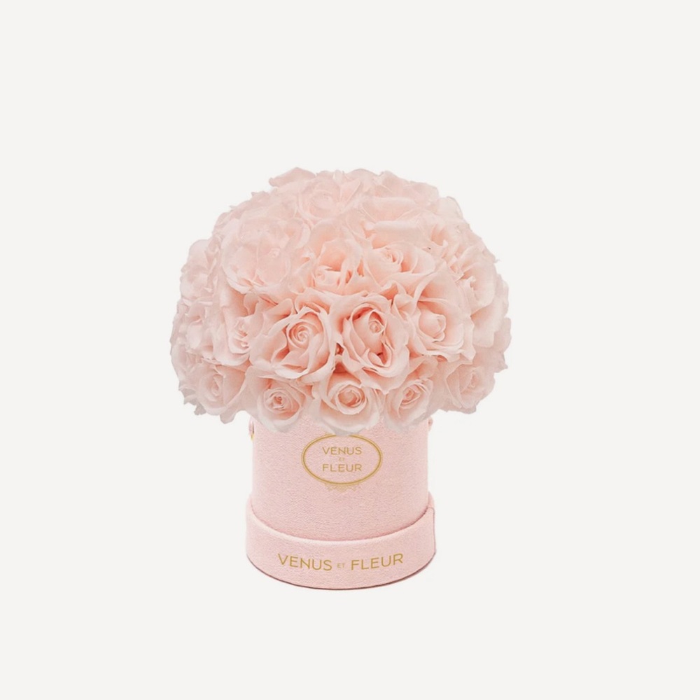 Venus Et Fleur Mini Le Plein Blush Suede